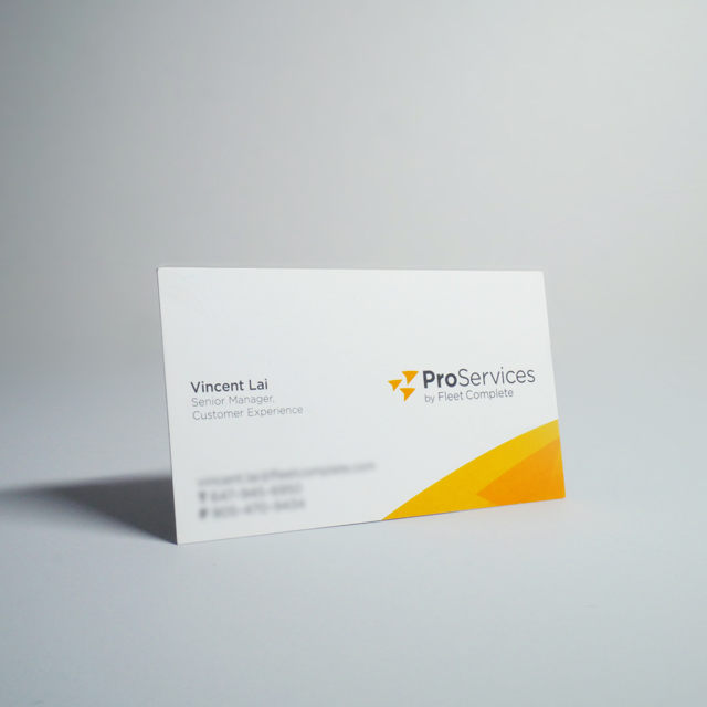 proservices business card front